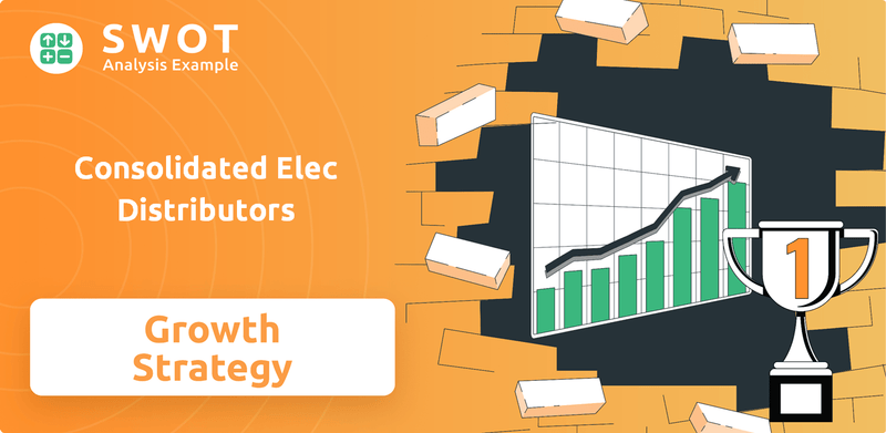 What is Growth Strategy and Future Prospects of Consolidated Elec Distributors Company?