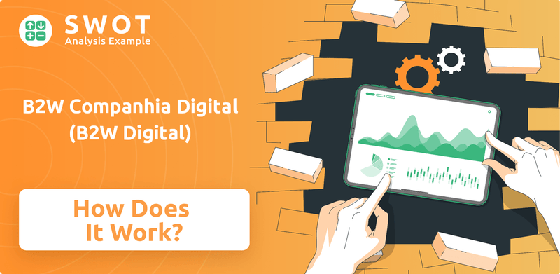 How Does B2W Companhia Digital (B2W Digital) Company Work?