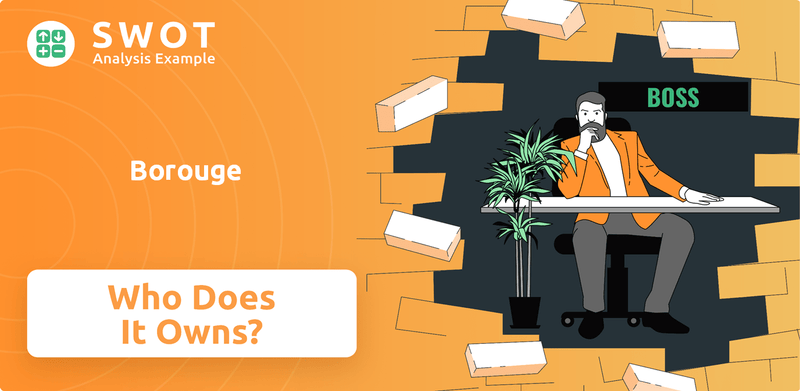 Who Owns Borouge Company?