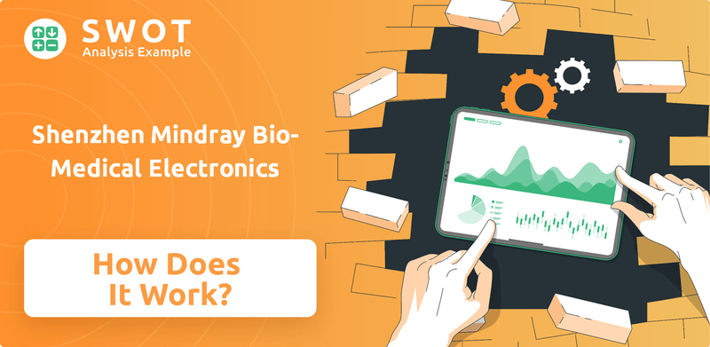 How Does Shenzhen Mindray Bio-Medical Electronics Company Work?