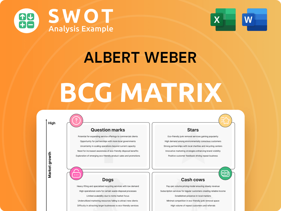 Albert Weber Boston Consulting Group Matrix