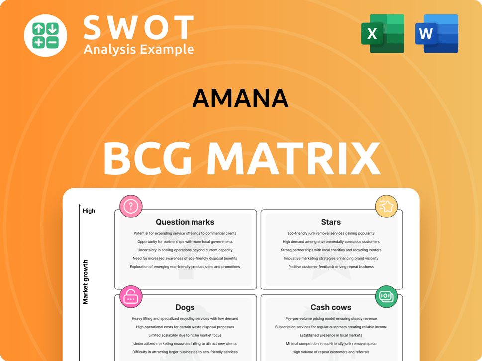 amana Boston Consulting Group Matrix