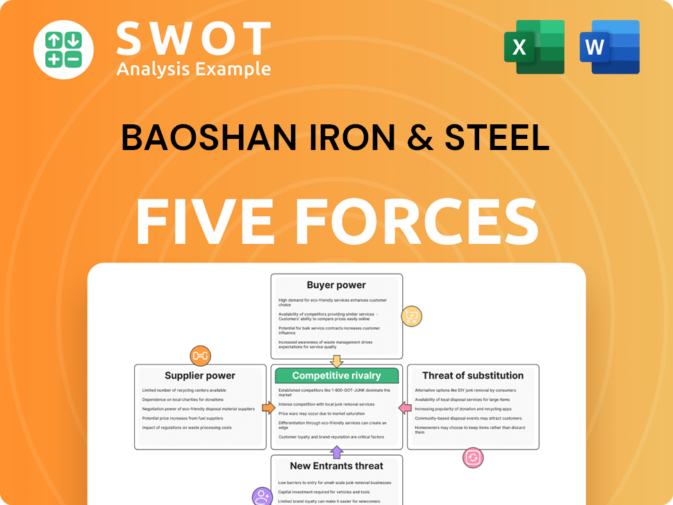 Baoshan Iron & Steel Porter's Five Forces Analysis