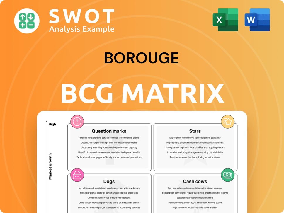 Borouge Boston Consulting Group Matrix