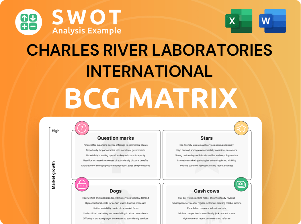 Broadcom Boston Consulting Group Matrix