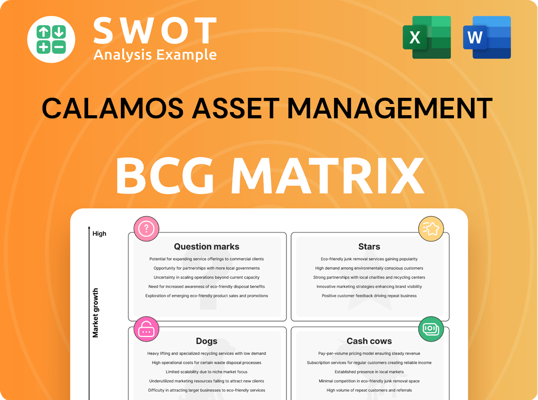 Calamos Asset Management, Inc. Boston Consulting Group Matrix