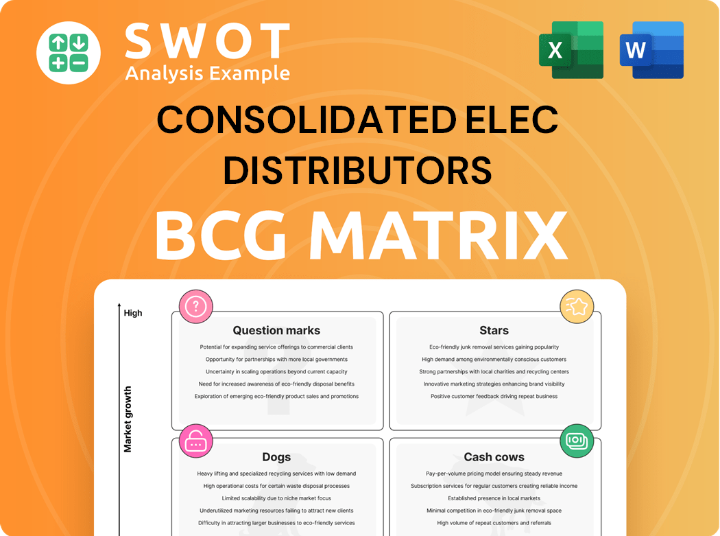 Consolidated Elec Distributors Boston Consulting Group Matrix
