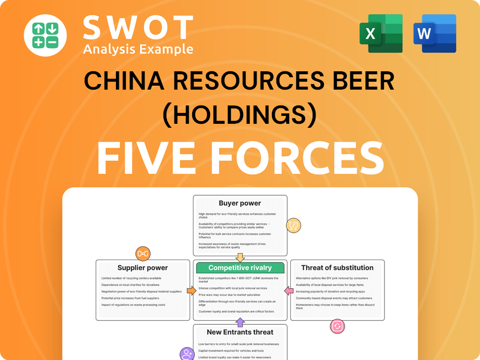 China Resources Beer (Holdings) Porter's Five Forces Analysis