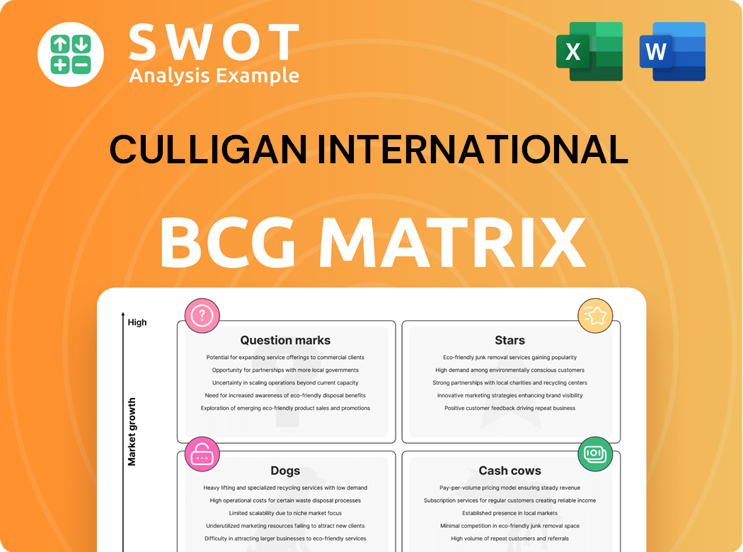 Culligan International Boston Consulting Group Matrix