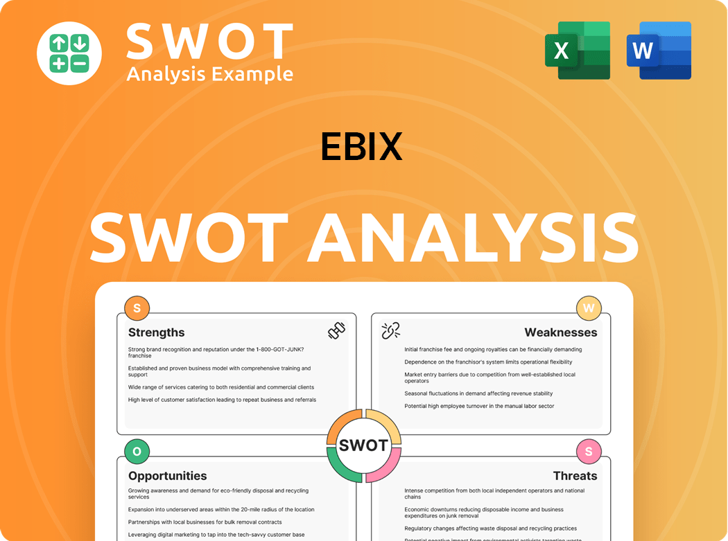 Ebix SWOT Analysis