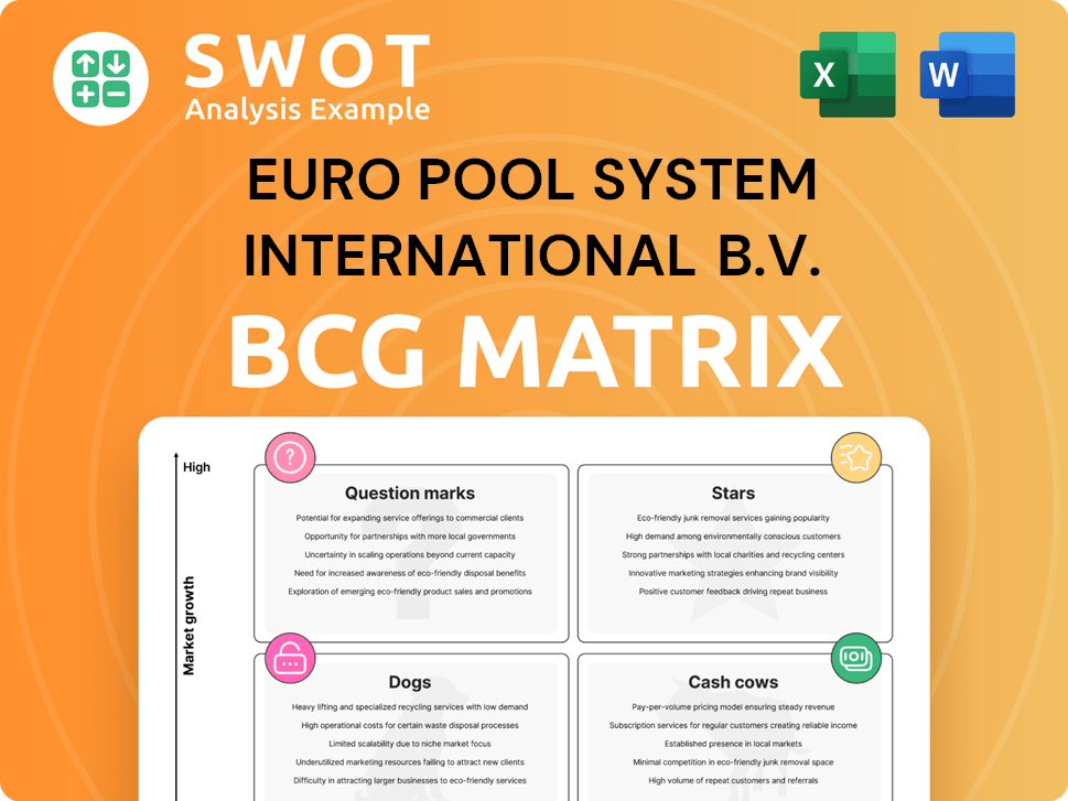 Euro Pool System International B.V. Boston Consulting Group Matrix