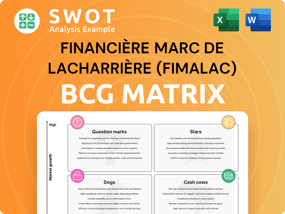 Financière Marc de Lacharrière (Fimalac) Boston Consulting Group Matrix