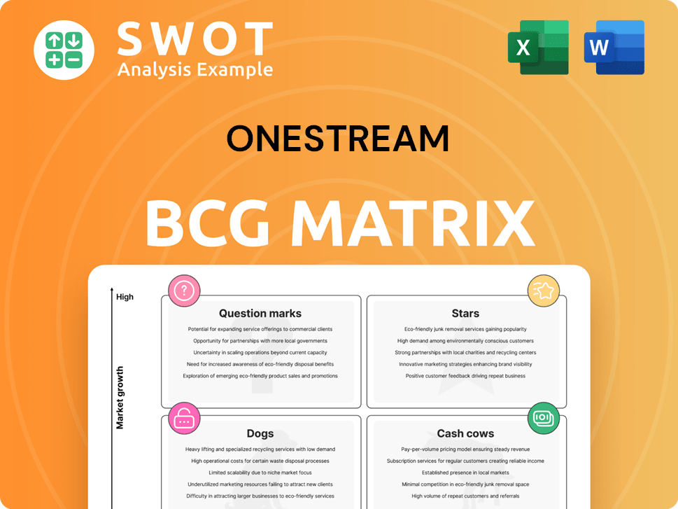 OneStream Boston Consulting Group Matrix