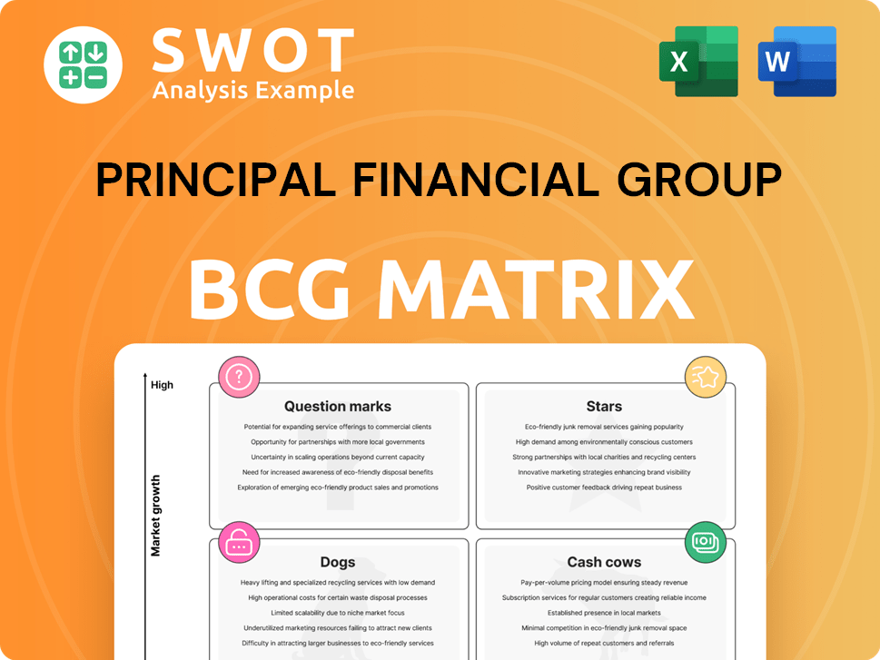 Principal Financial Group Boston Consulting Group Matrix