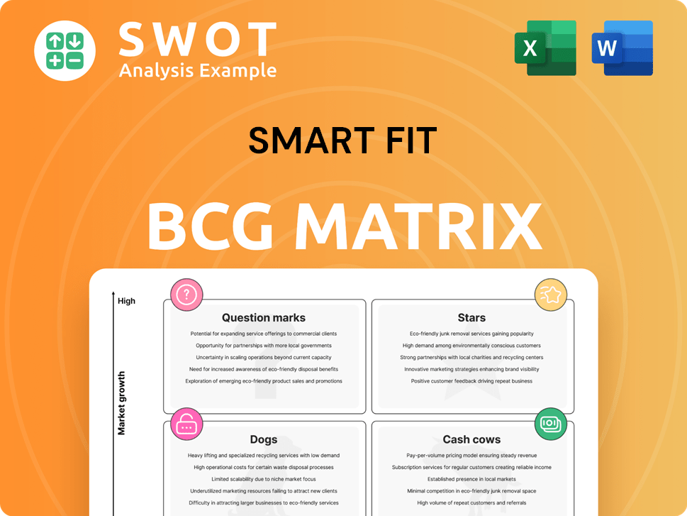 Smart Fit Boston Consulting Group Matrix