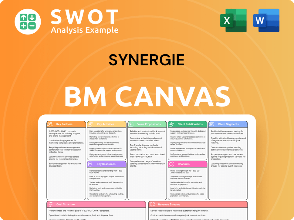 synergie-business-model-canvas