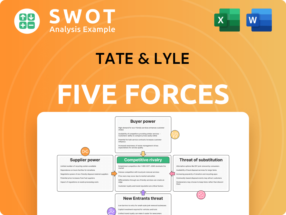 Tate & Lyle Porter's Five Forces Analysis