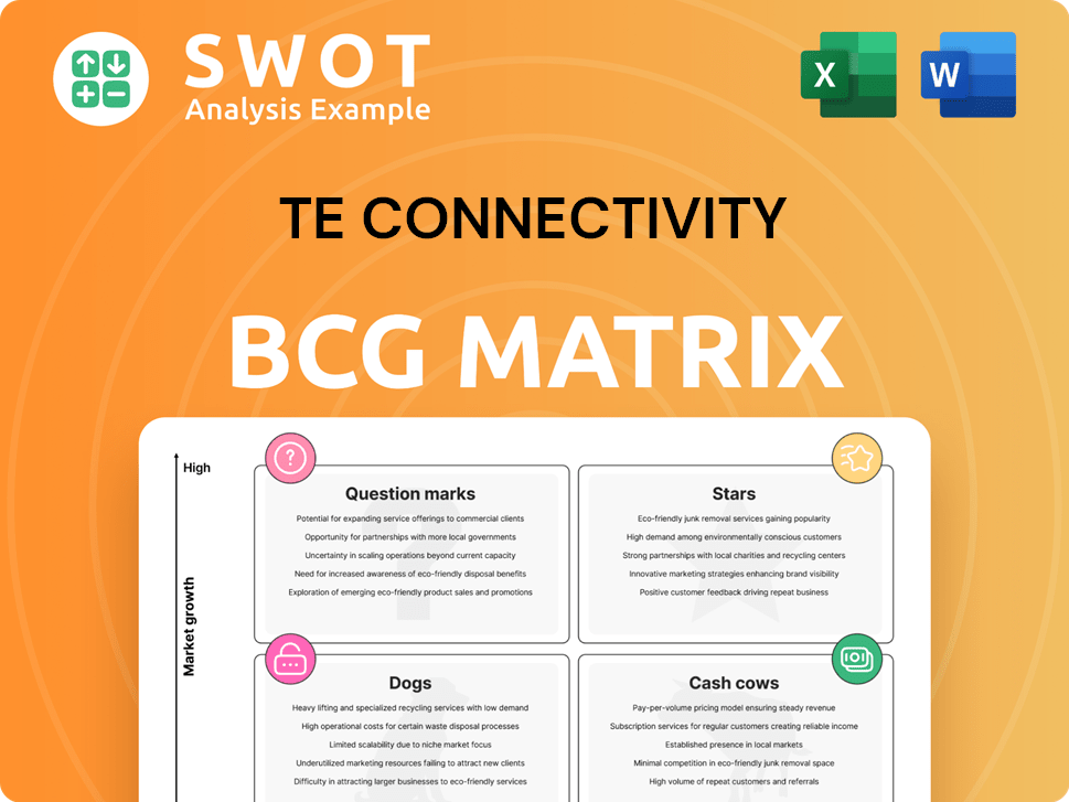 TE Connectivity Boston Consulting Group Matrix