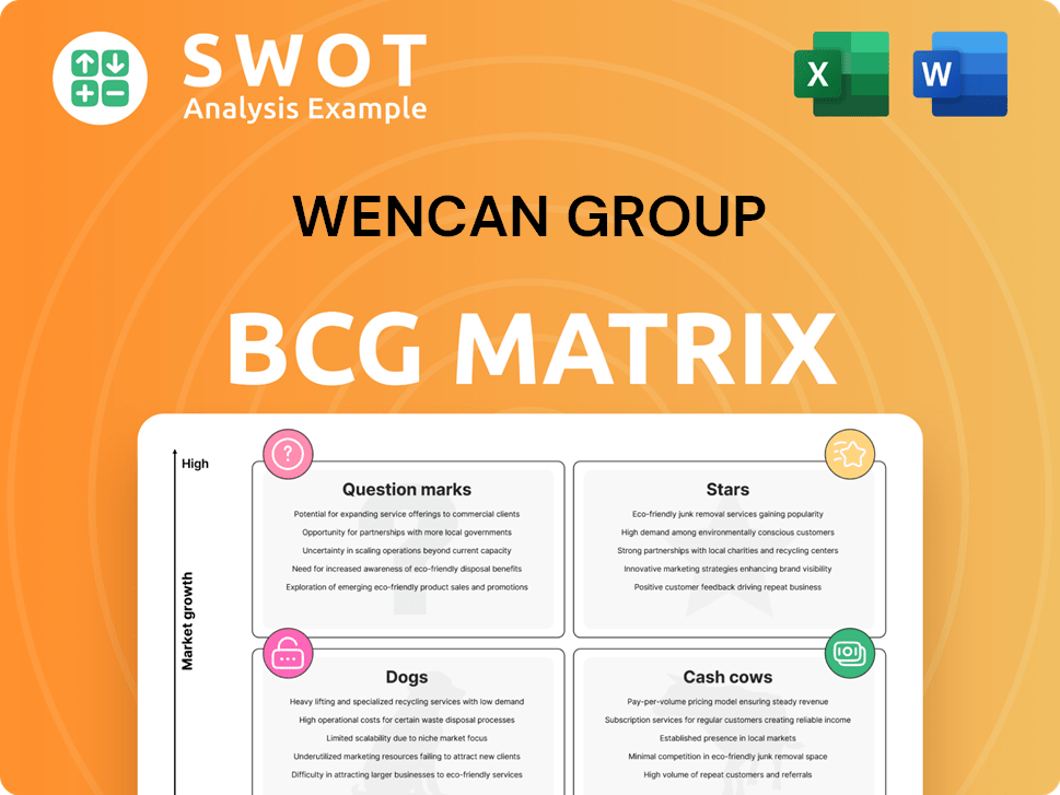 Wencan Group Boston Consulting Group Matrix
