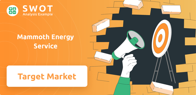 What is Customer Demographics and Target Market of Mammoth Energy Service Company?