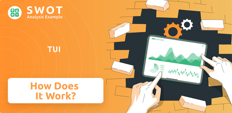 How Does TUI Company Work?