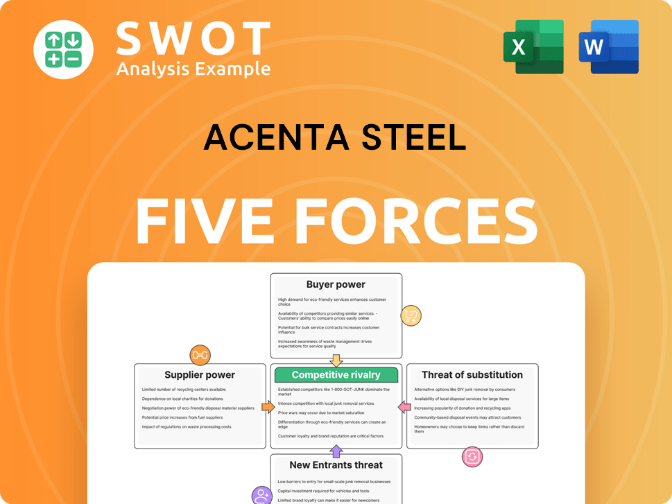 Acenta Steel Porter's Five Forces Analysis