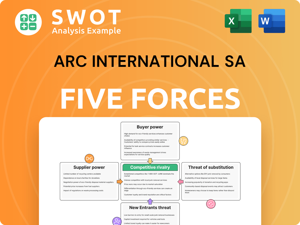 ARC International SA Porter's Five Forces Analysis