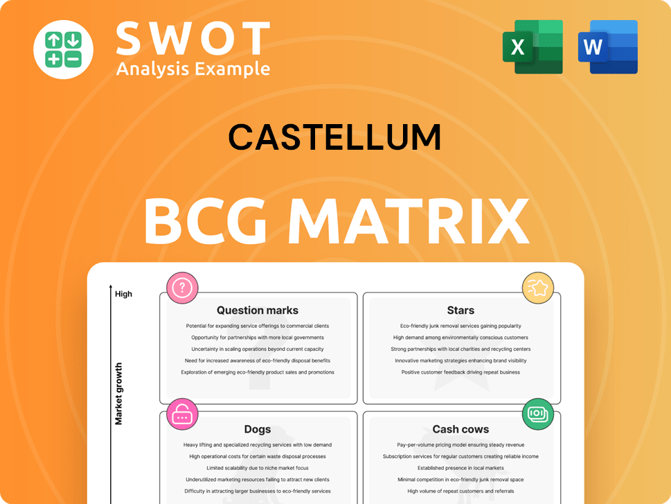 Castellum Boston Consulting Group Matrix