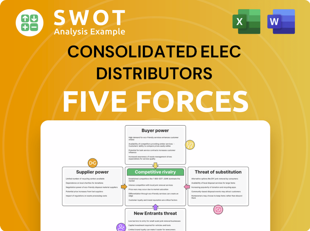 Consolidated Elec Distributors Porter's Five Forces Analysis