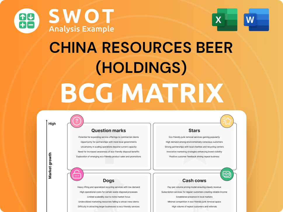 China Resources Beer (Holdings) Boston Consulting Group Matrix
