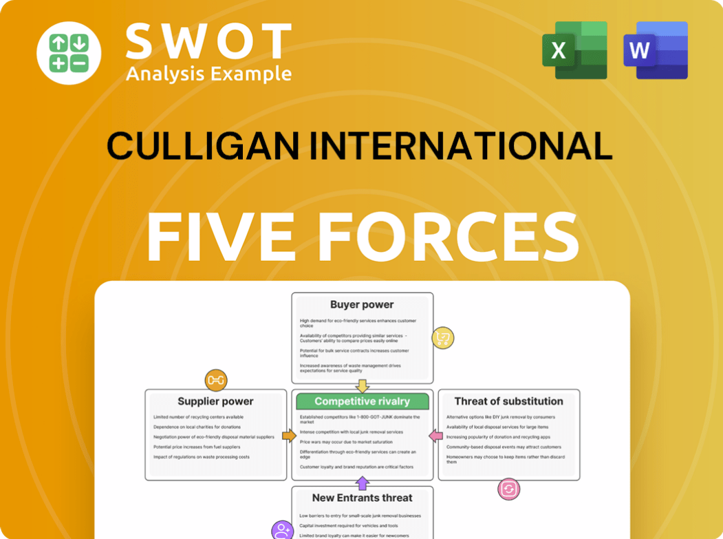 Culligan International Porter's Five Forces Analysis