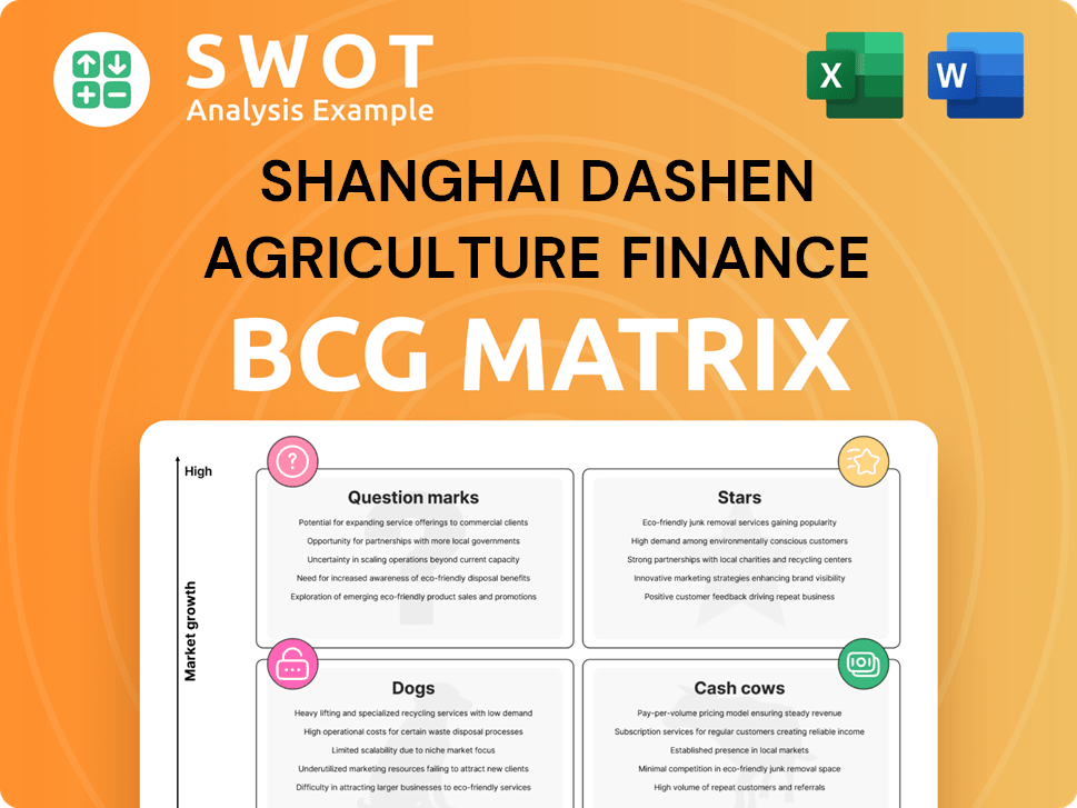 Shanghai Dashen Agriculture Finance Technology Boston Consulting Group Matrix