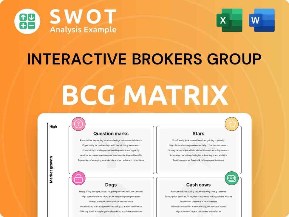 Interactive Brokers Group Boston Consulting Group Matrix