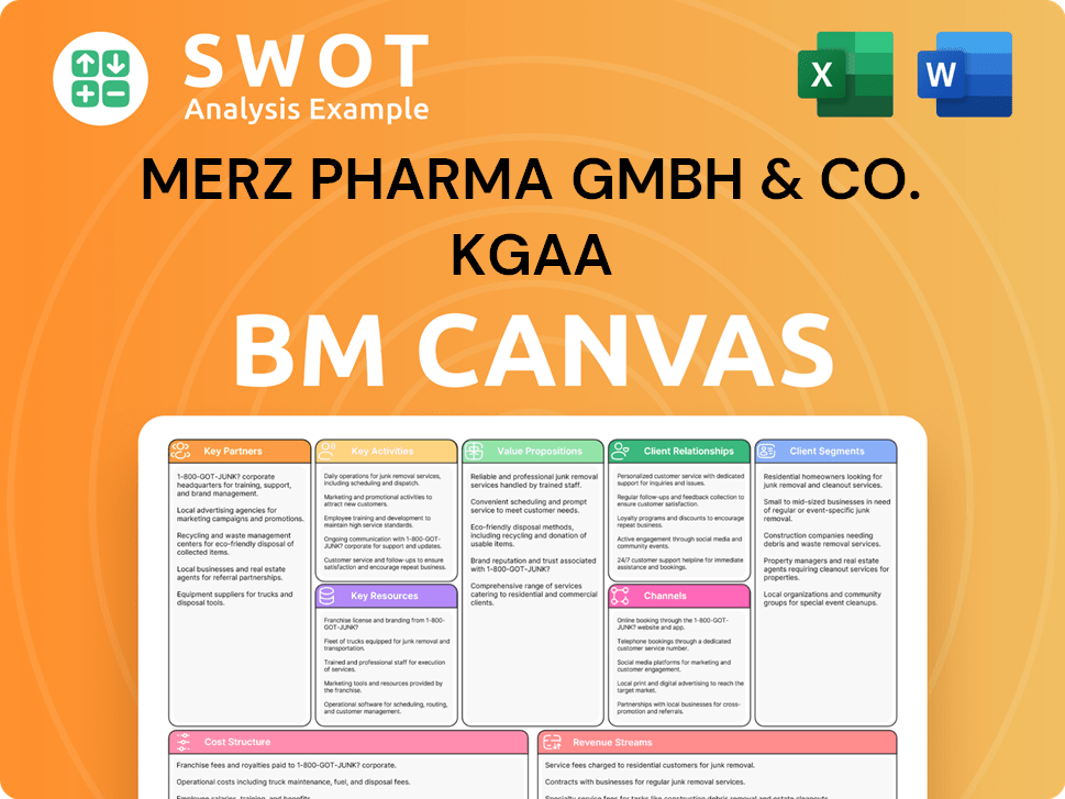merz-business-model-canvas