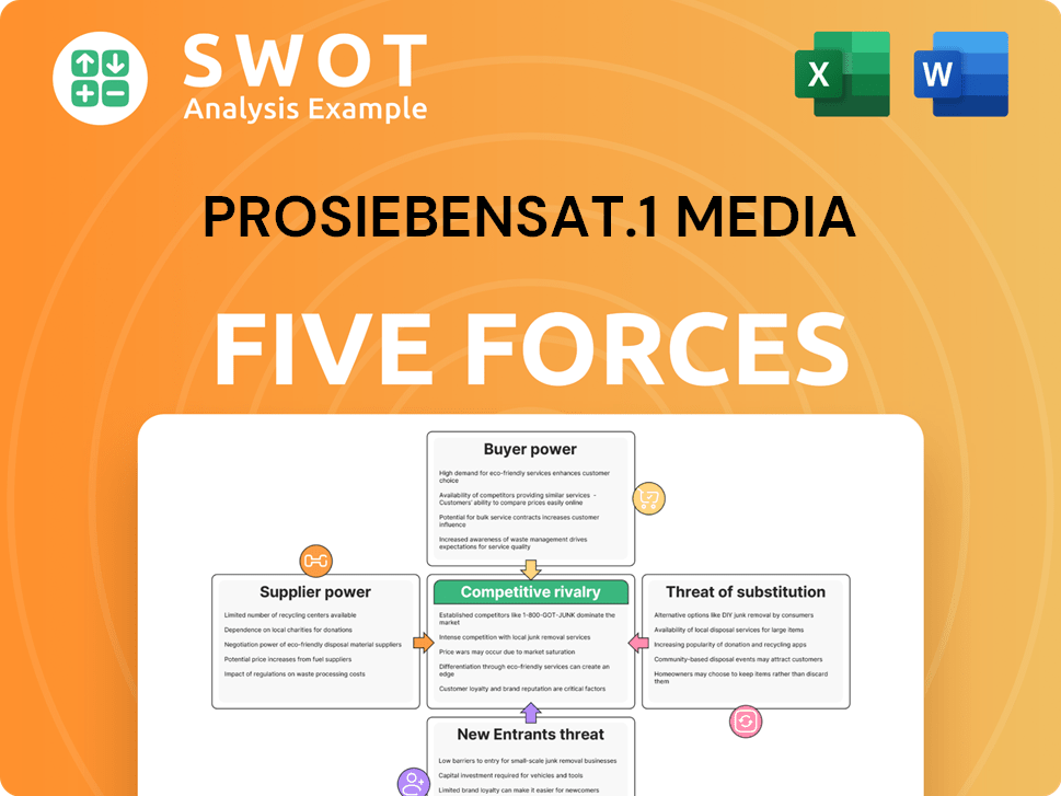 ProSiebenSat.1 Media Porter's Five Forces Analysis