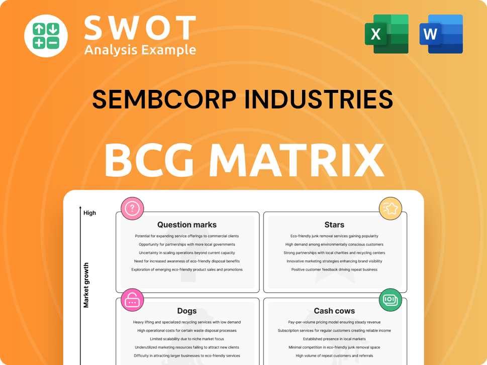 Sembcorp Industries Boston Consulting Group Matrix