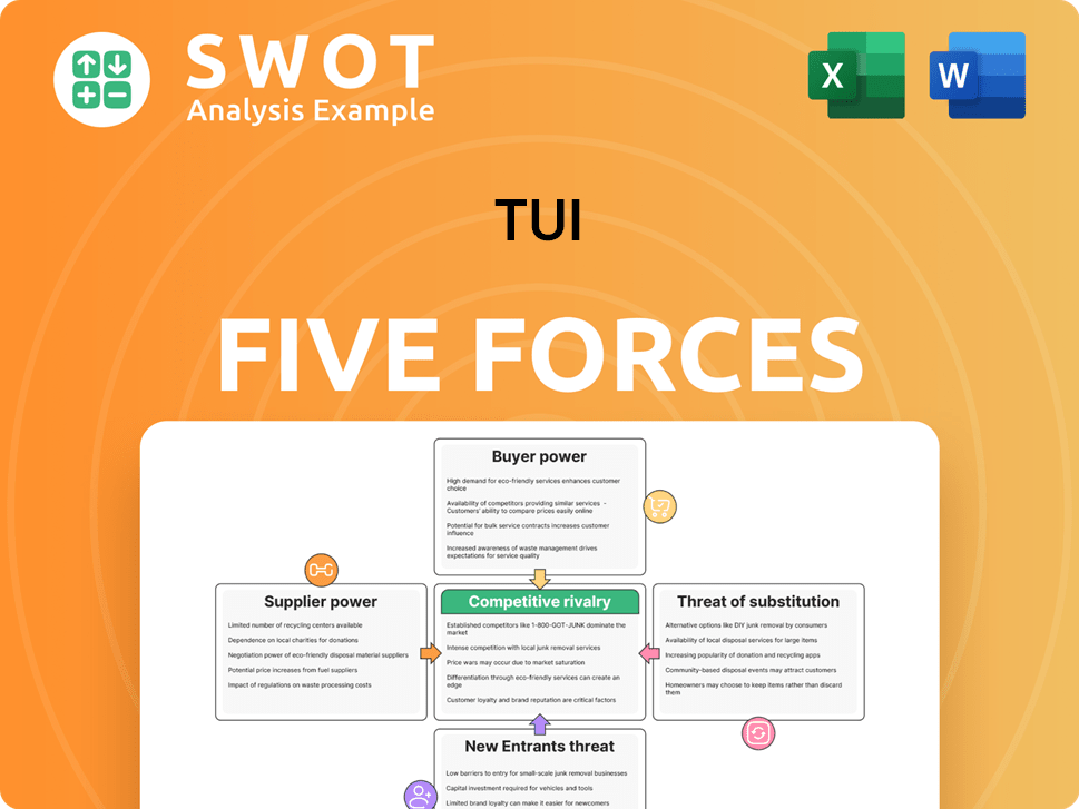 TUI Porter's Five Forces Analysis